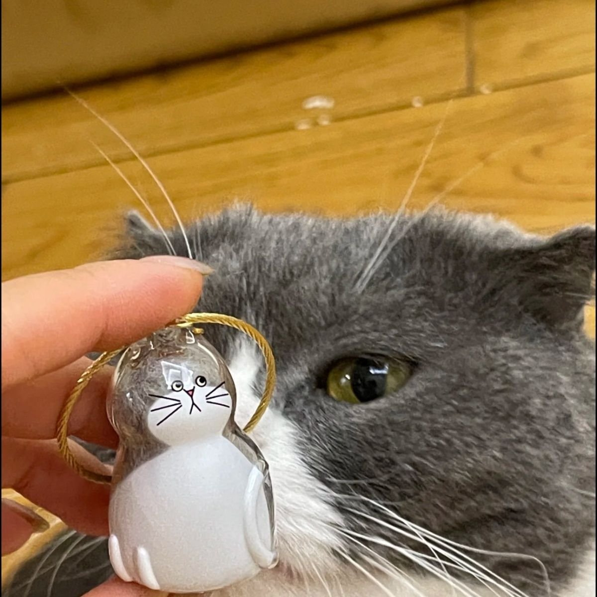 My Pet Keychain